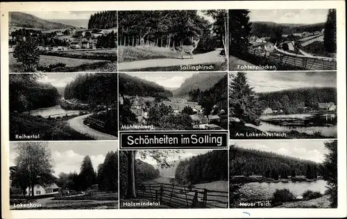 Ak Mühlenberg im Solling Holzminden an der Weser, Reihertal, Lakenhaus, Sollinghirsch