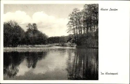 Ak Rehburg Loccum in Niedersachsen, Kloster Loccum, Klosterpark