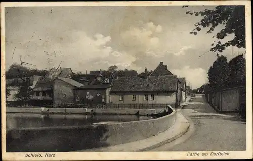 Ak Schielo Harzgerode am Harz, Am Dorfteich