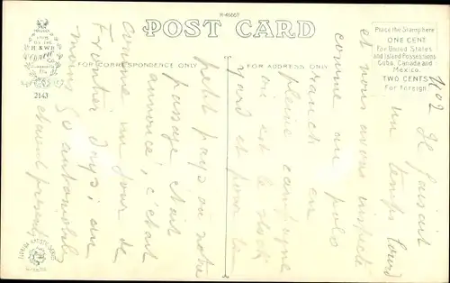 Ak Florida USA, Royal Poinciana Tree