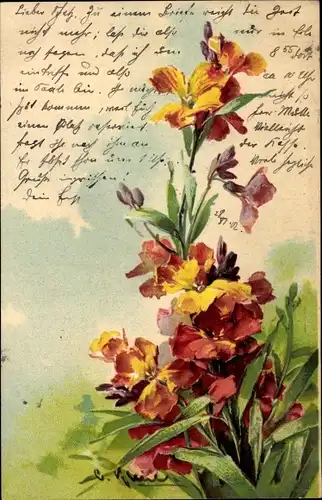 Präge Künstler Ak Klein, Catharina, Blumen, rote und orangefarbene Blüten