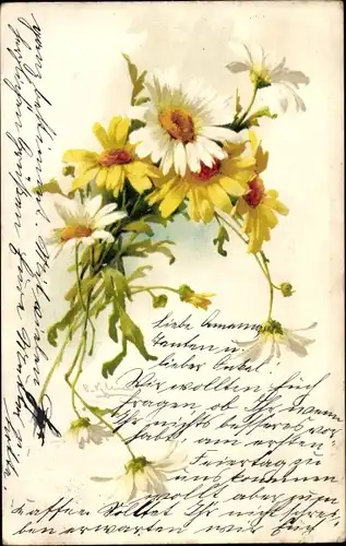 Künstler Litho Klein, Catharina, Blüten, Margeriten