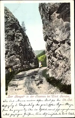 Ak Garsten in Oberösterreich, Der Hengst in der Rosenau bei Wind