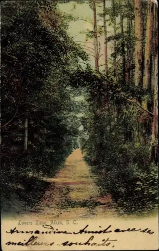 Ak South Carolina USA, Lovers Lane