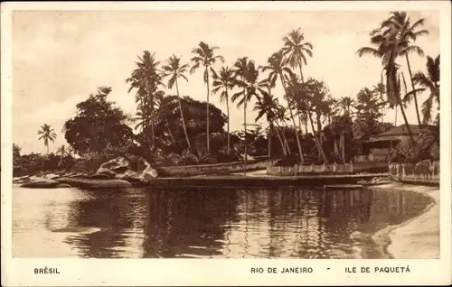 Ak Rio de Janeiro Brasilien, Ile de Paqueta, Palmen und Gebäude auf einer Insel