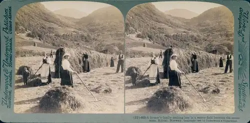 Stereofoto Norwegen, Bauernfamilie beim Heumachen in Röldal