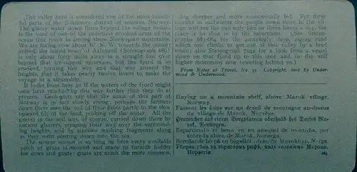 Stereofoto Norwegen, Heuernte auf einem Felsvorsprung oberhalb des Dorfes Marok