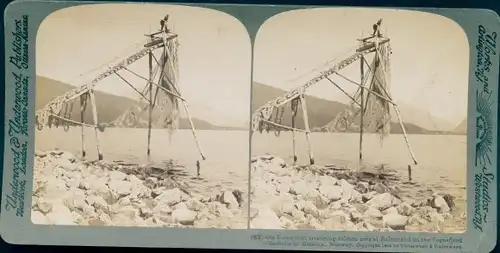 Stereofoto Norwegen, Fischer am Balestrand, Sognefjord