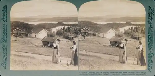 Stereofoto Norwegen, Blick über Bolkesjö und Folsjö auf die Himinger Berge