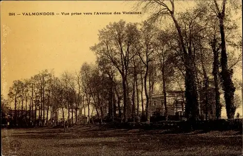 Ak Valmondois Val-d´Oise, Avenue des Violaines