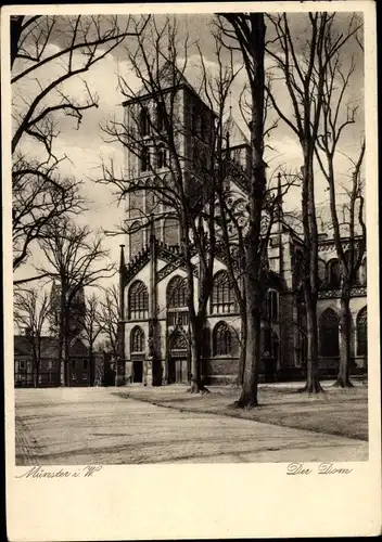 Ak Münster in Westfalen, Dom