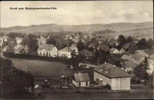 Ak Steinigtwolmsdorf in der Lausitz, Teilansicht