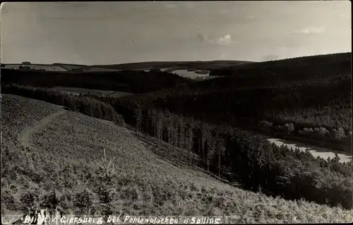 Ak Fohlenplacken Neuhaus im Solling Holzminden Niedersachsen, Giersberg, Panorama