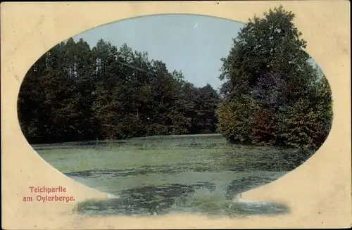 Ak Nienburg an der Weser, Oylerberg, Teich