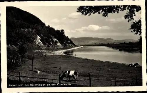 Ak Stahle Höxter an der Weser, Kiekenstein
