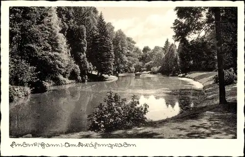 Ak Einbeck in Niedersachsen, Teich, Park