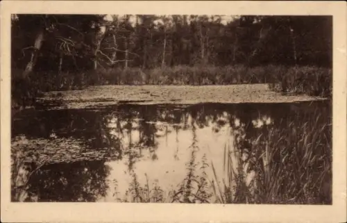 Ak Ihlow in Ostfriesland, Klosterteich