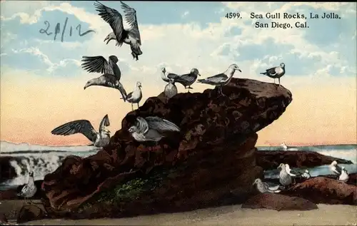 Ak San Diego Kalifornien USA, Sea Gull Rocks, La Jolla
