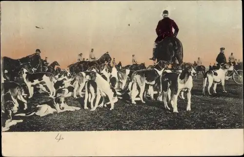 Ak Jagd, Jäger, Jagdhunde, Männer zu Pferden