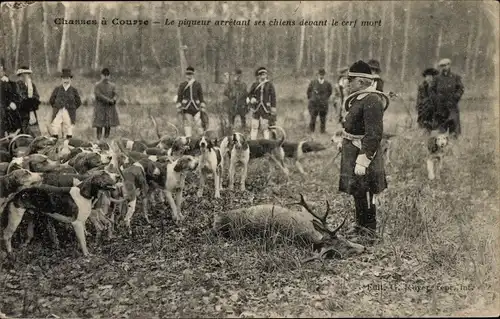 Ak jagt einen Courre, der Stinger stoppt seine Hunde vor dem toten Hirsch