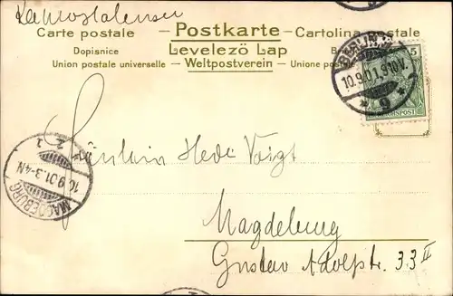 Künstler Litho Klein, C., Veilchen, Blumen