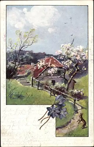 Künstler Litho Splitgerber, Wohnhaus, Hase, Blühende Bäume, Blumen