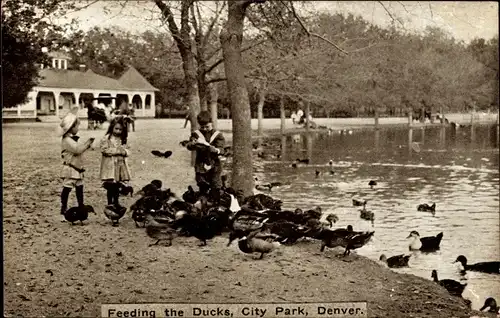 Ak Denver Colorado USA, kleine Kinder füttern die Enten im City Park