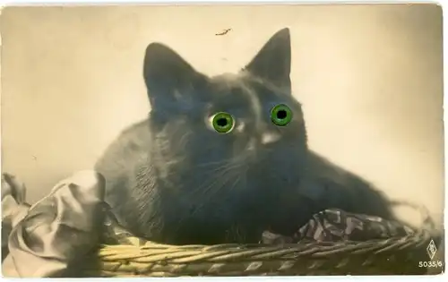 Stoff Ak Katze-Portrait, Schwarze Katze mit Plastikaugen