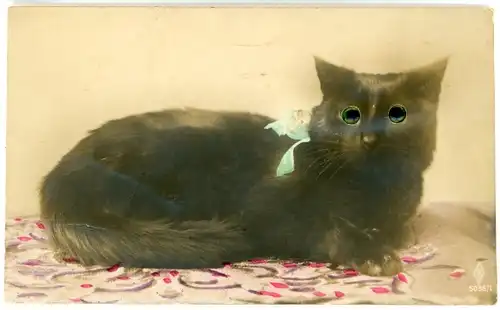 Stoff Ak Katze-Portrait, Schwarze Katze mit Plastikaugen, Blaue Schleife