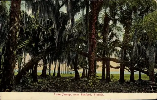 Ak Sanford Florida USA, Lake Jessup