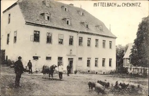 Ak Mittelbach Chemnitz in Sachsen, Wohnhaus, Bauern, Kuh, Schweine