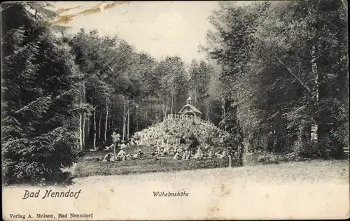 Ak Bad Nenndorf an der Weser, Wilhelmshöhe