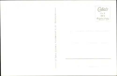 Ak Celle in Niedersachsen, Schlosspark