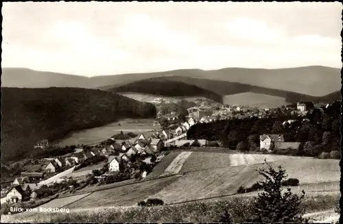 Ak Grünenplan, Gesamtansicht, Bocksberg