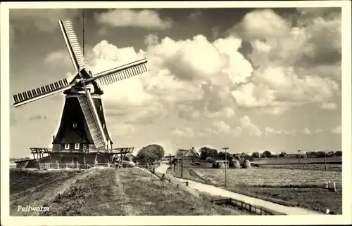 Ak Insel Pellworm Nordfriesland, Teilansicht, Windmühle