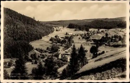 Ak Steindöbra Sachsenberg Georgenthal Klingenthal im Vogtland, Glaserwinkel, Buschhaus Mühlleithen