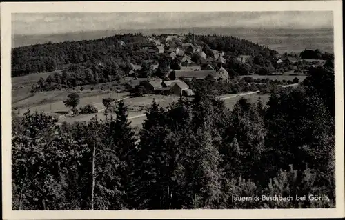 Ak Jauernick Buschbach Markersdorf Oberlausitz, Panorama