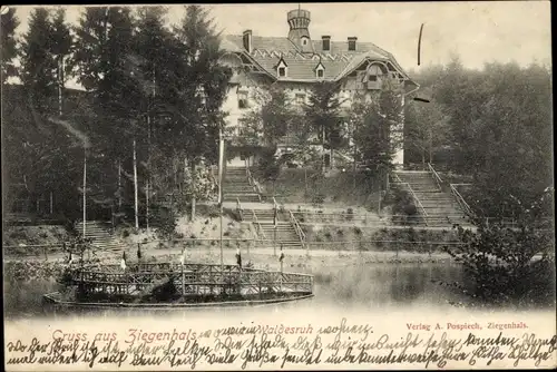 Ak Głuchołazy Zdrój Bad Ziegenhals Schlesien, Waldesruh