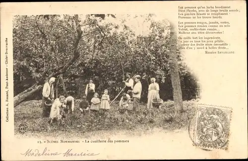 Ak Scenes Normandes, La Cueillette des Pommes