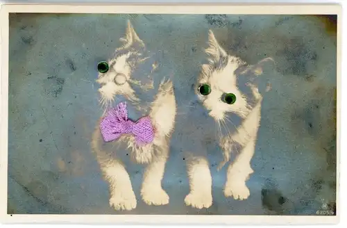 Ak Zwei Katzen mit Plastikaugen, Stoff-Schleife, Tierportrait