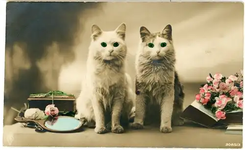 Ak Zwei Katzen, Tierportrait, Blumen, Spiegel