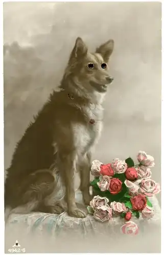 Stoff Ak Hund mit Plastikaugen, Blumenstrauß, Rosen