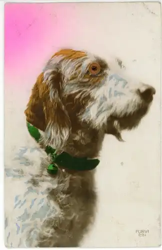 Stoff Ak Hund mit Plastikaugen, Tierportrait, Halsband