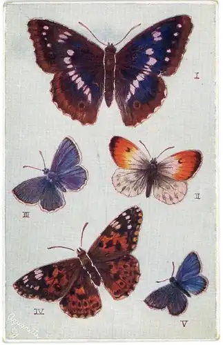 Ak Schmetterlinge auf dem Flügel, Schmetterlinge, Purple Emperor, Painted Lady, Orange Tip