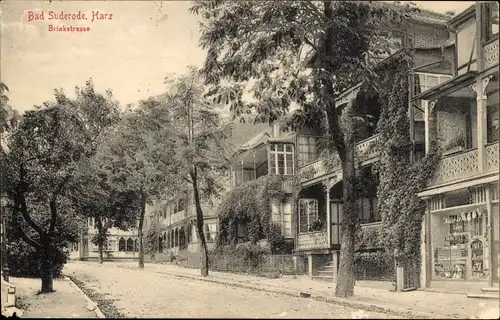 Ak Bad Suderode Quedlinburg im Harz, Brinkstraße