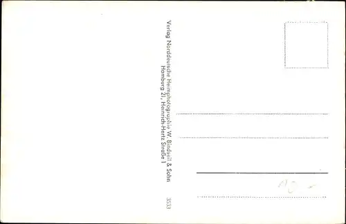 Ak Bücken in Niedersachsen, Blankensee, Straßenpartie