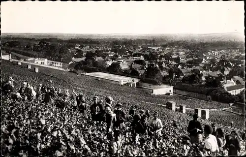 Ak Ay Marne, Panoramablick, Die Ernte