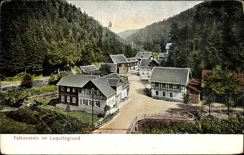 Ak Falkenstein Ludwigsstadt in Oberfranken, Loquitzgrund, Dorf