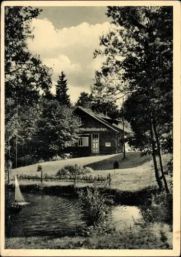 Ak Brotterode, Restaurant Waldschlößchen mit Weiher