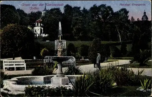 Ak Gotha Thüringen, Partie in der Herzogl. Orangerie, Springbrunnen, Turm mit Uhr